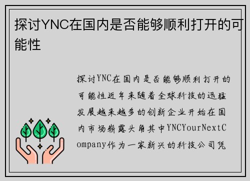 探讨YNC在国内是否能够顺利打开的可能性